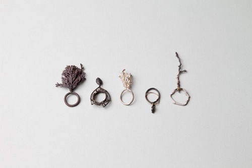 Forma vs Materia Forma vs Materia