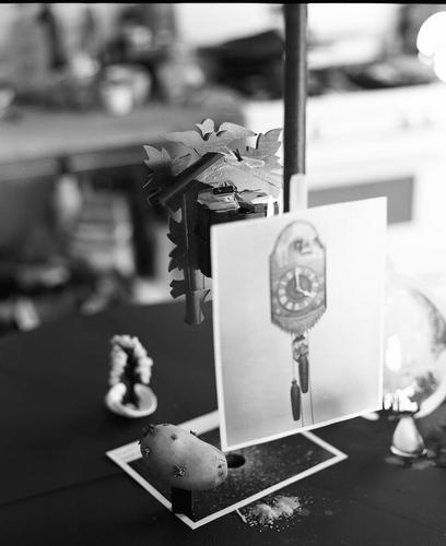 Will Rogan & Lauren McKeon, Old Potato, 2010 Will Rogan & Lauren McKeon, Old Potato, 2010