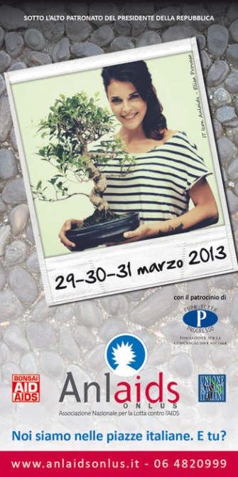 29-30-31 marzo in piazza e sulla tavola i bonsai della lotta all’AIDS